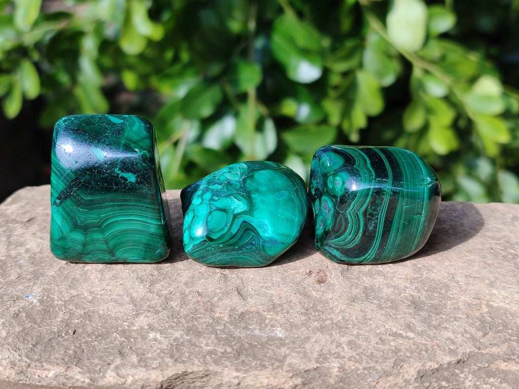 Polished Flower Banded Malachite Free Forms x 20 From Congo - Toprock Gemstones and Minerals 