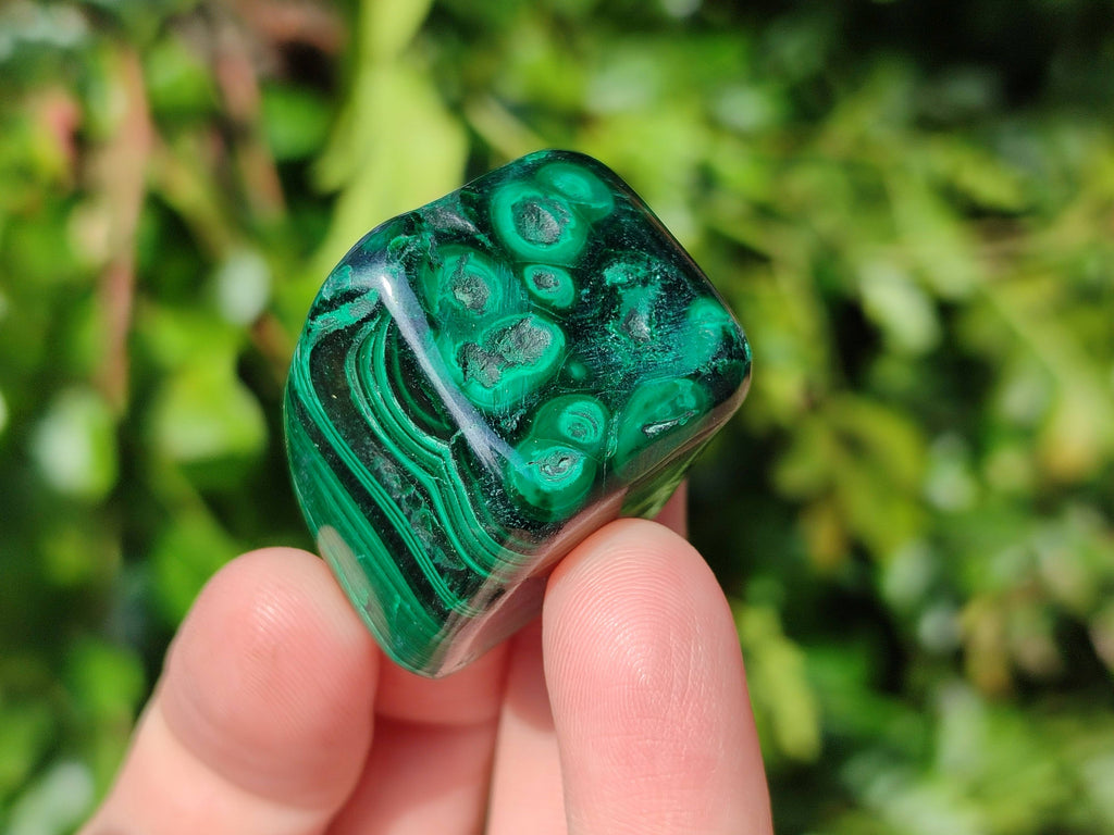 Polished Flower Banded Malachite Free Forms x 20 From Congo - Toprock Gemstones and Minerals 