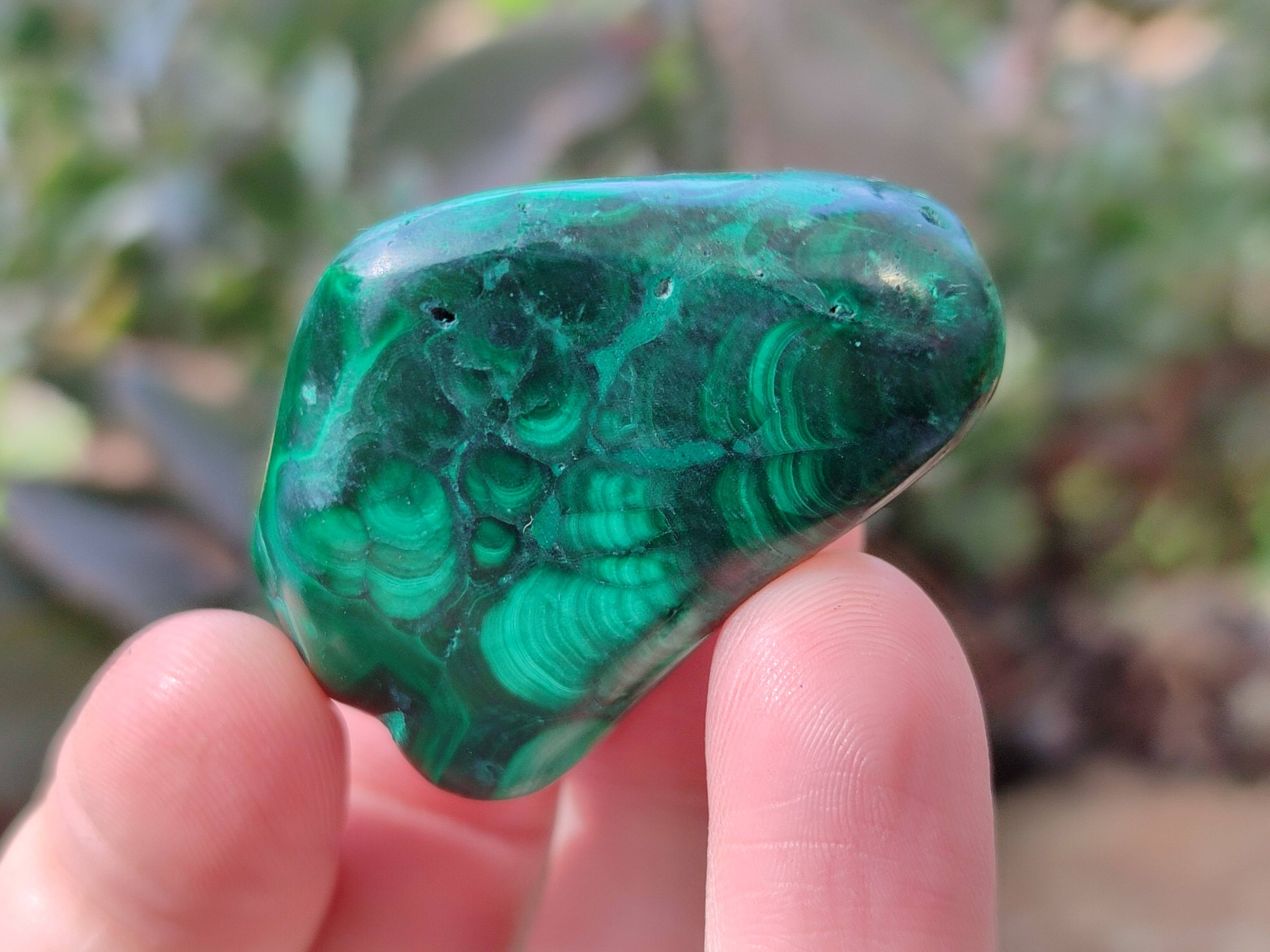 Polished Flower Banded Malachite Free Forms x 20 From Congo - Toprock Gemstones and Minerals 