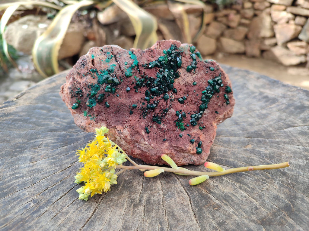 Natural Dioptase on Dolomite Matrix Specimen x 1 From Likasi, Congo - Toprock Gemstones and Minerals 