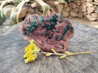 Natural Dioptase on Dolomite Matrix Specimen x 1 From Likasi, Congo