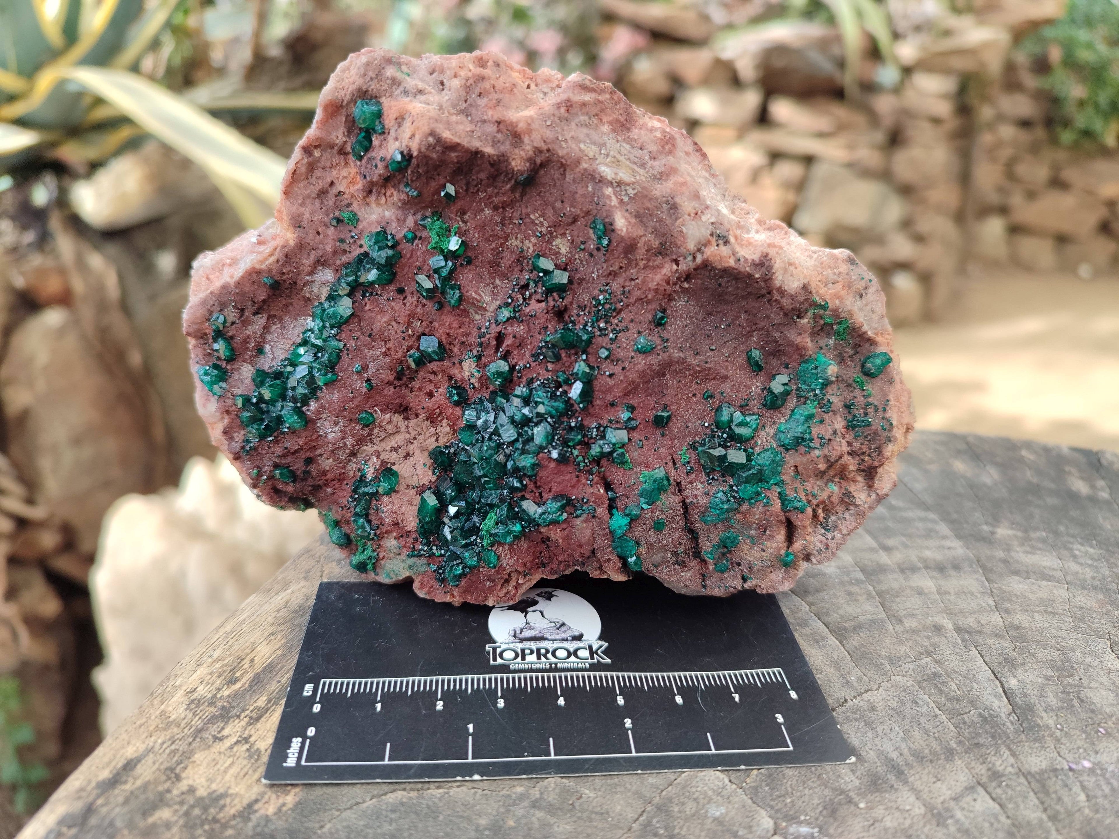 Natural Dioptase on Dolomite Matrix Specimen x 1 From Likasi, Congo - Toprock Gemstones and Minerals 