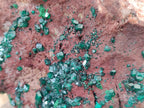 Natural Dioptase on Dolomite Matrix Specimen x 1 From Likasi, Congo - Toprock Gemstones and Minerals 
