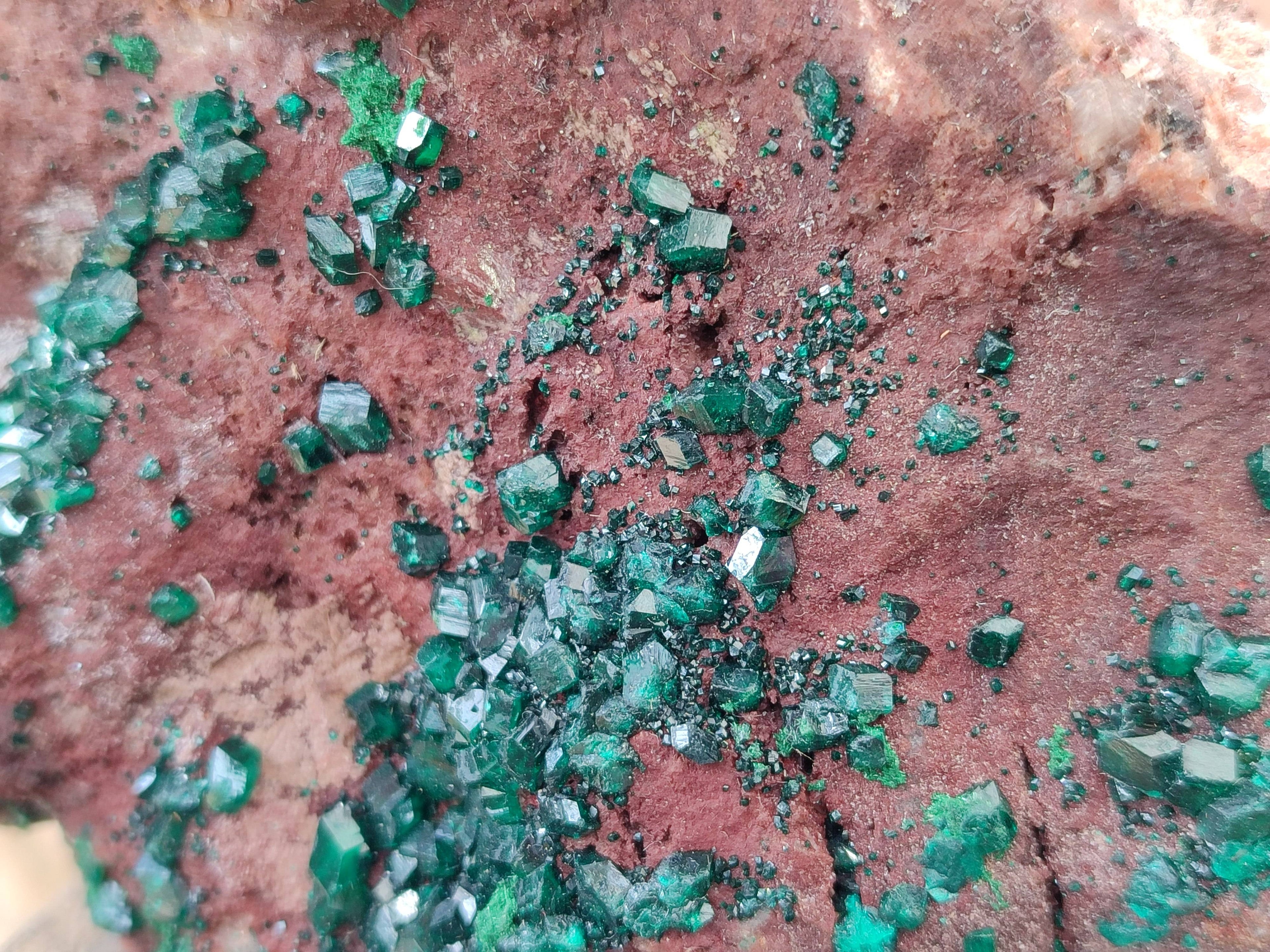 Natural Dioptase on Dolomite Matrix Specimen x 1 From Likasi, Congo - Toprock Gemstones and Minerals 