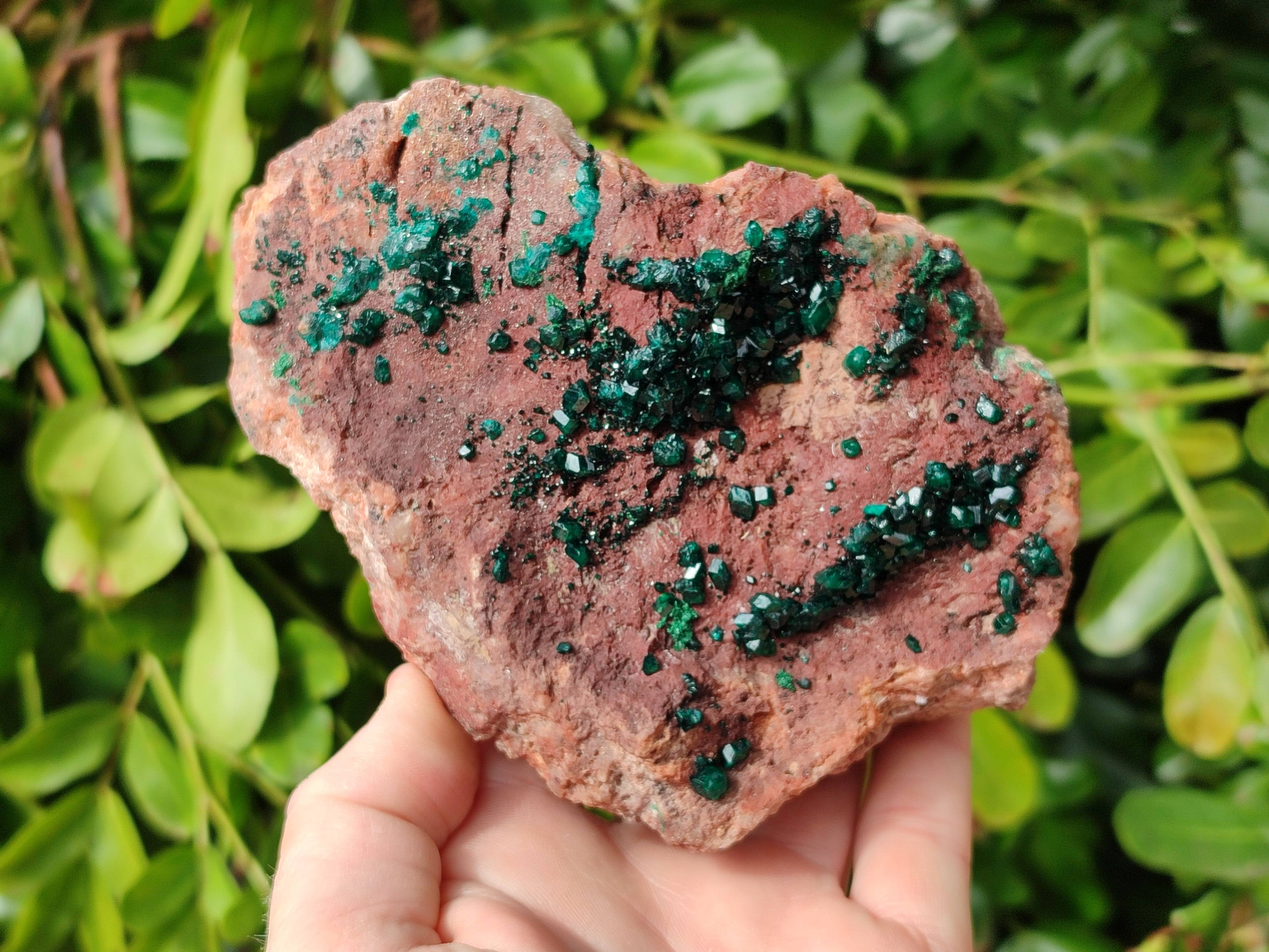 Natural Dioptase on Dolomite Matrix Specimen x 1 From Likasi, Congo - Toprock Gemstones and Minerals 