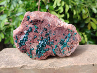 Natural Dioptase on Dolomite Matrix Specimen x 1 From Likasi, Congo