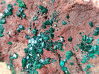 Natural Dioptase on Dolomite Matrix Specimen x 1 From Likasi, Congo - Toprock Gemstones and Minerals 