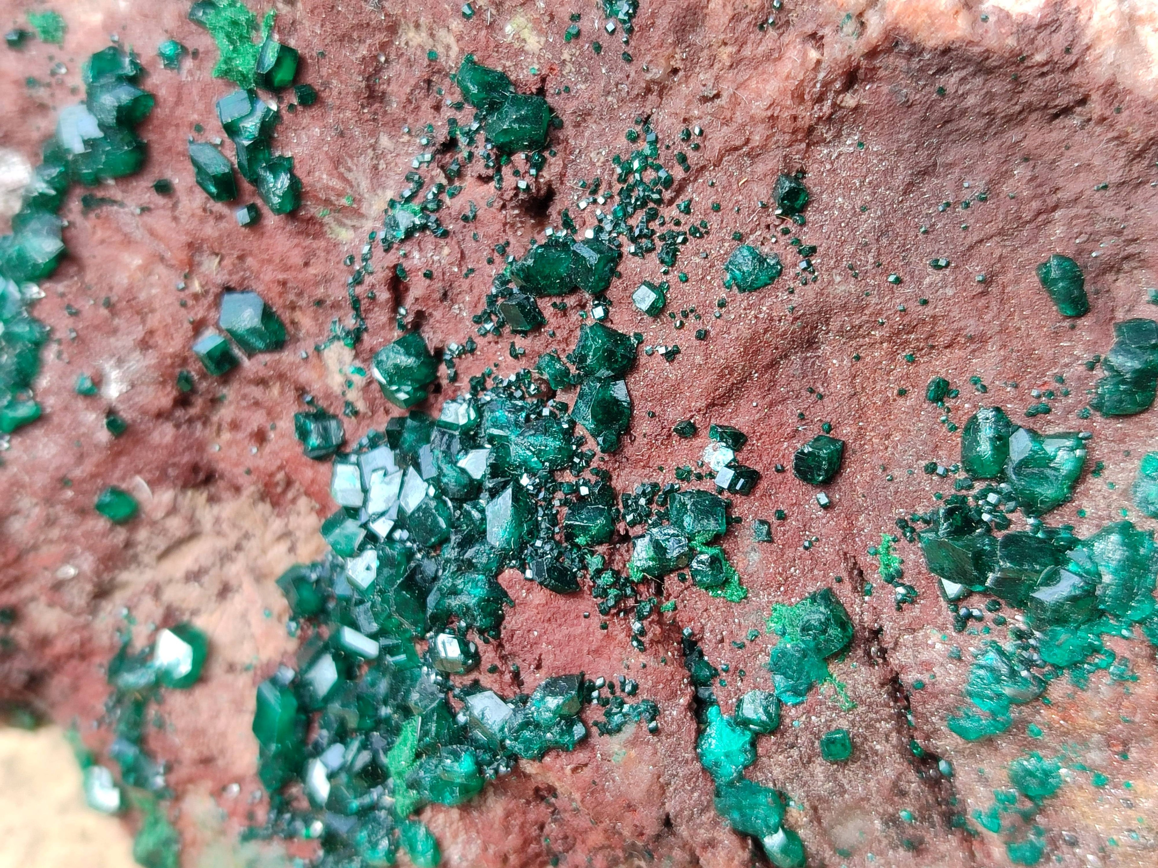 Natural Dioptase on Dolomite Matrix Specimen x 1 From Likasi, Congo - Toprock Gemstones and Minerals 