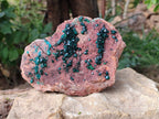 Natural Dioptase on Dolomite Matrix Specimen x 1 From Likasi, Congo - Toprock Gemstones and Minerals 