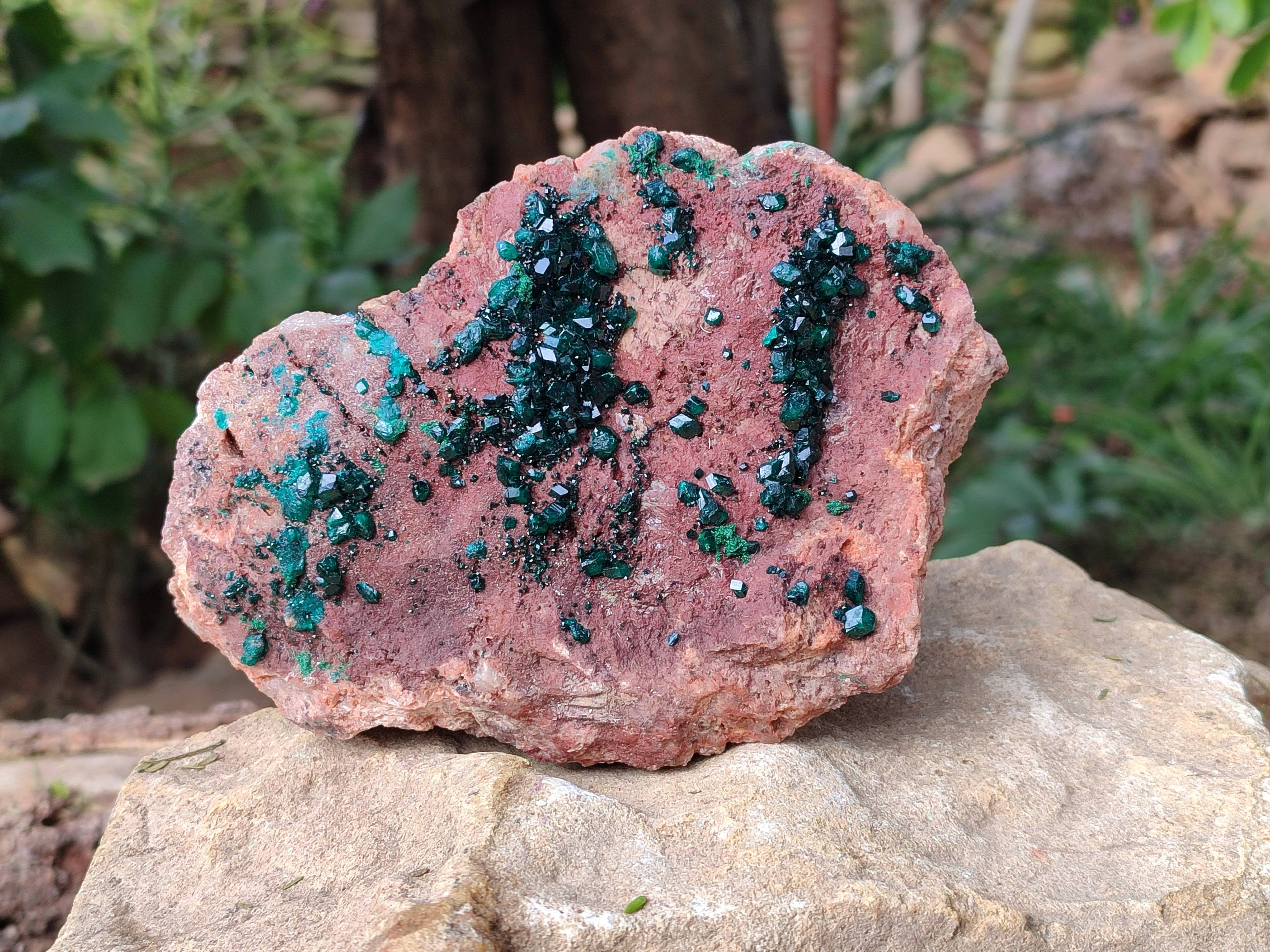 Natural Dioptase on Dolomite Matrix Specimen x 1 From Likasi, Congo - Toprock Gemstones and Minerals 