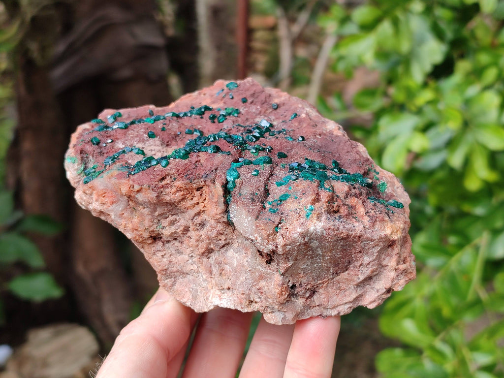 Natural Dioptase on Dolomite Matrix Specimen x 1 From Likasi, Congo - Toprock Gemstones and Minerals 