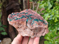 Natural Dioptase on Dolomite Matrix Specimen x 1 From Likasi, Congo