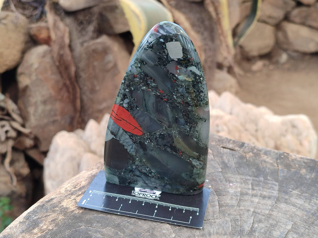 Polished Bloodstone Standing Free Forms x 2 From Swaziland - Toprock Gemstones and Minerals 