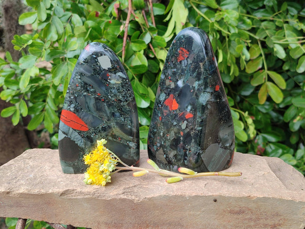 Polished Bloodstone Standing Free Forms x 2 From Swaziland