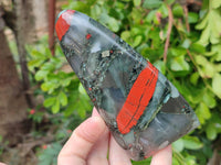 Polished Bloodstone Standing Free Forms x 2 From Swaziland