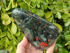 Polished Bloodstone Standing Free Forms x 2 From Swaziland - Toprock Gemstones and Minerals 