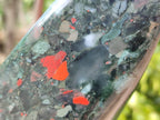 Polished Bloodstone Standing Free Forms x 2 From Swaziland - Toprock Gemstones and Minerals 