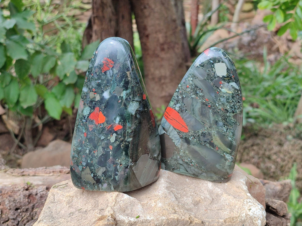 Polished Bloodstone Standing Free Forms x 2 From Swaziland - Toprock Gemstones and Minerals 