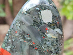 Polished Bloodstone Standing Free Forms x 2 From Swaziland - Toprock Gemstones and Minerals 