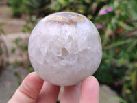Polished Sashe River Agate Spheres x 4 From Zimbabwe
