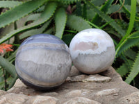 Polished Sashe River Agate Spheres x 4 From Zimbabwe