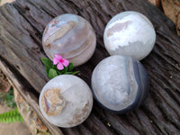 Polished Sashe River Agate Spheres x 4 From Zimbabwe