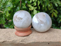 Polished Sashe River Agate Spheres x 4 From Zimbabwe