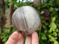 Polished Sashe River Agate Spheres x 4 From Zimbabwe