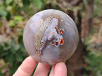 Polished Sashe River Agate Spheres x 4 From Zimbabwe