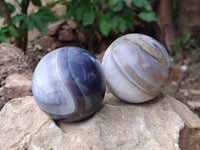 Polished Sashe River Agate Spheres x 4 From Zimbabwe