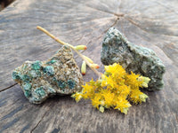 Natural Emerald Mica 'Mutokolite' Specimens x 20 From Mutoko, Zimbabwe