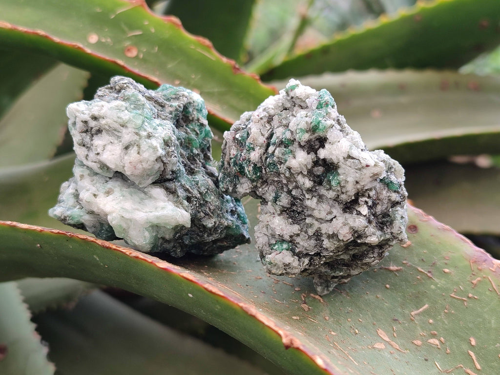 Natural Emerald Mica 'Mutokolite' Specimens x 20 From Mutoko, Zimbabwe - Toprock Gemstones and Minerals 