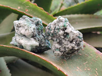 Natural Emerald Mica 'Mutokolite' Specimens x 20 From Mutoko, Zimbabwe