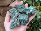 Natural Emerald Mica 'Mutokolite' Specimens x 20 From Mutoko, Zimbabwe - Toprock Gemstones and Minerals 