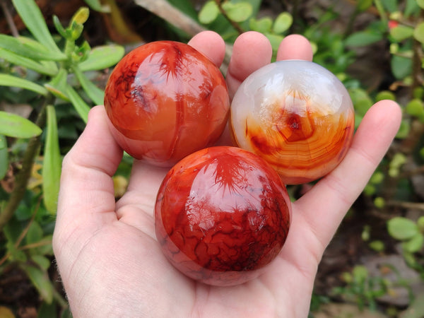 Polished Carnelian Agate Spheres x 6 From Madagascar