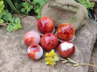 Polished Carnelian Agate Spheres x 6 From Madagascar