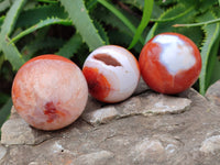 Polished Carnelian Agate Spheres x 6 From Madagascar