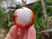 Polished Carnelian Agate Spheres x 6 From Madagascar