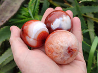Polished Carnelian Agate Spheres x 6 From Madagascar
