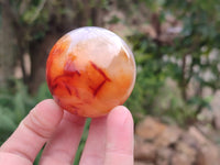 Polished Carnelian Agate Spheres x 6 From Madagascar