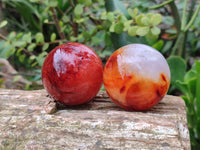 Polished Carnelian Agate Spheres x 6 From Madagascar