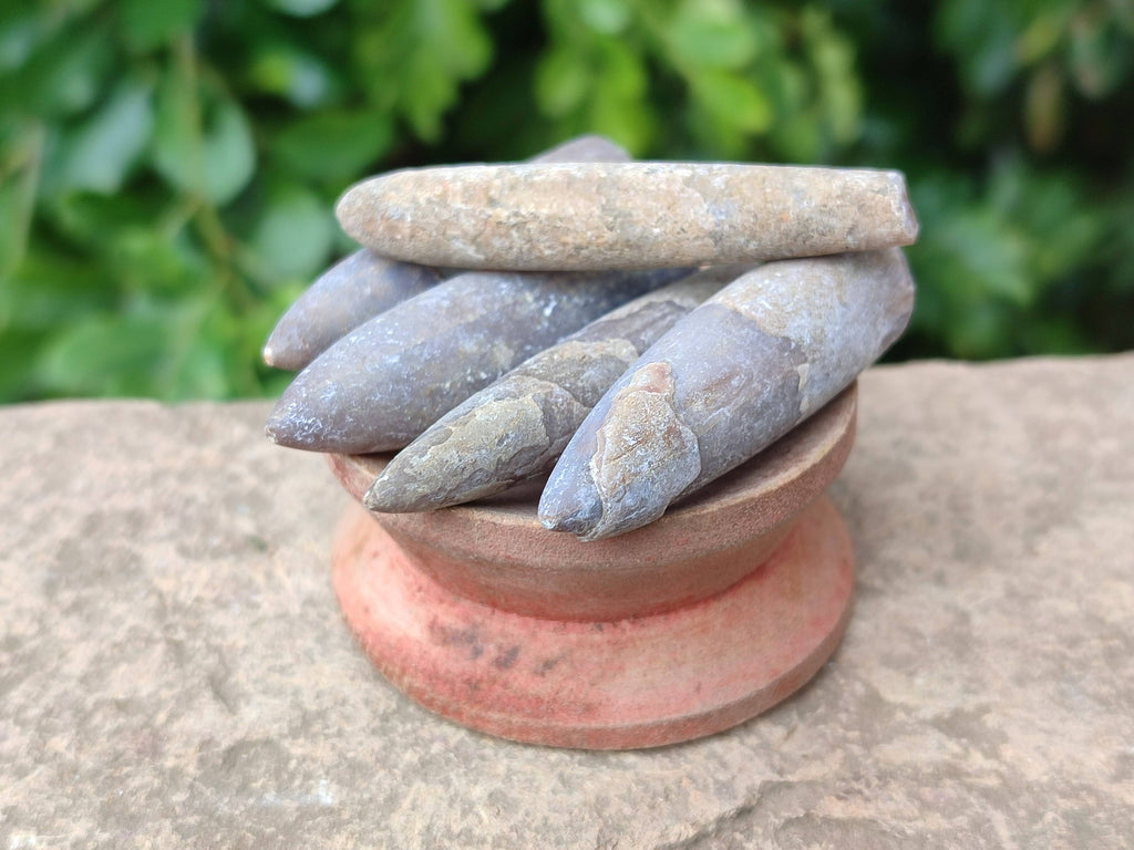 Natural Belemnite Rostrum Fossils x 2.4 Kg Lot From Madagascar - Toprock Gemstones and Minerals 