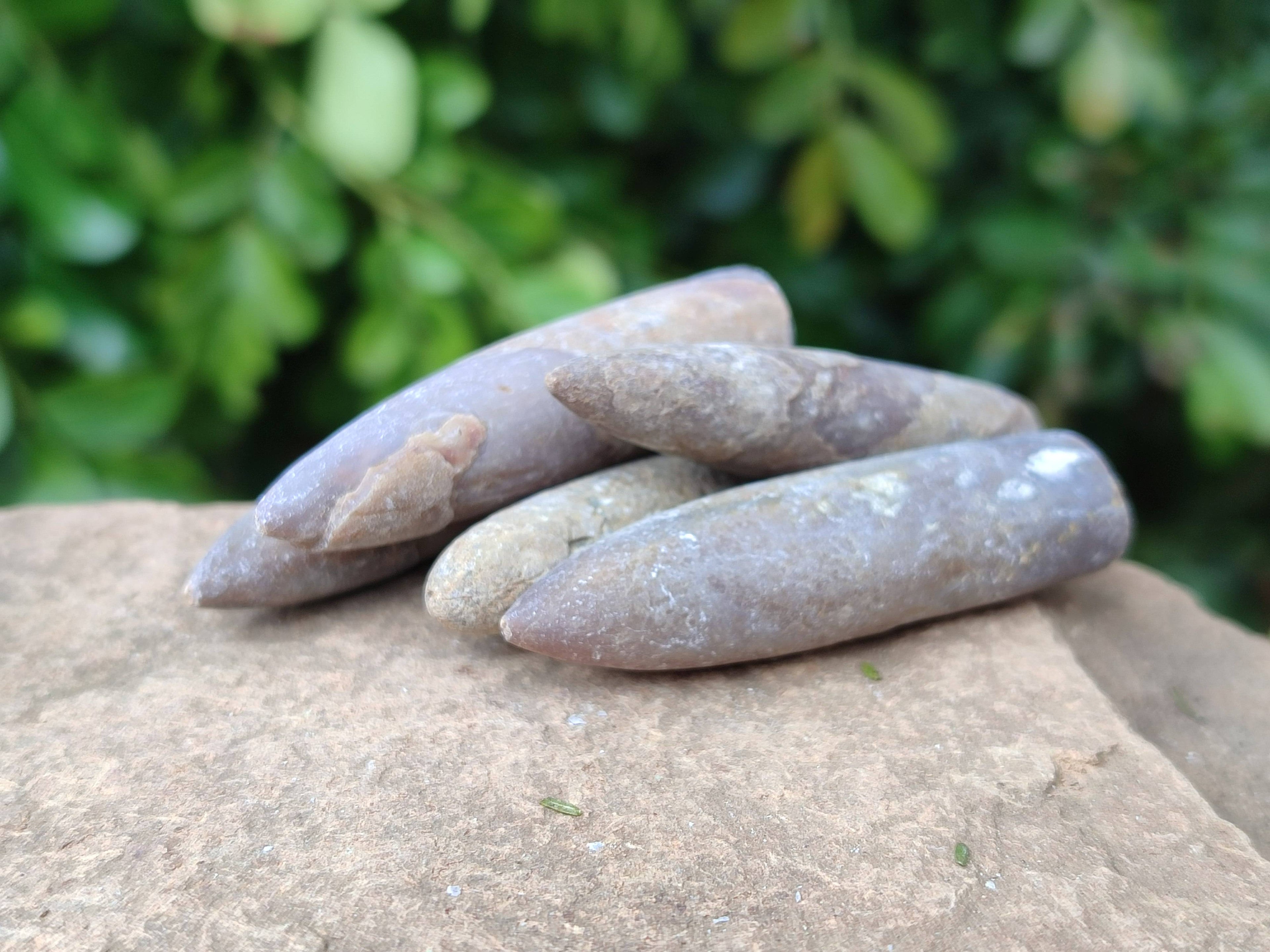 Natural Belemnite Rostrum Fossils x 2.4 Kg Lot From Madagascar - Toprock Gemstones and Minerals 