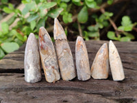 Natural Belemnite Rostrum Fossils x 2.4 Kg Lot From Madagascar
