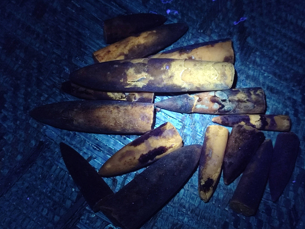 Natural Belemnite Rostrum Fossils x 2.4 Kg Lot From Madagascar - Toprock Gemstones and Minerals 