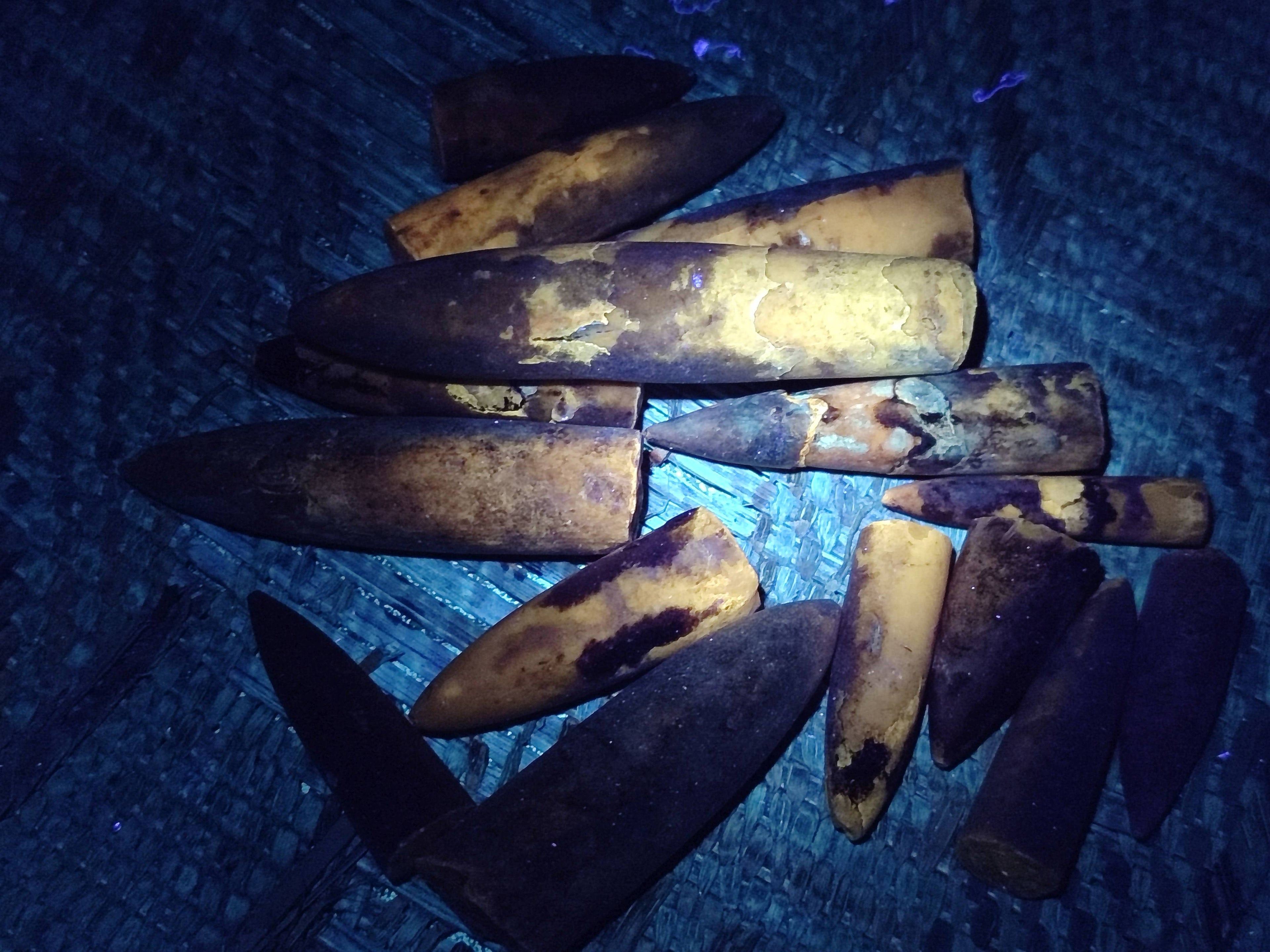 Natural Belemnite Rostrum Fossils x 2.4 Kg Lot From Madagascar - Toprock Gemstones and Minerals 