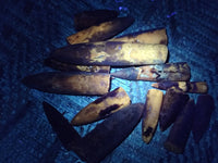 Natural Belemnite Rostrum Fossils x 2.4 Kg Lot From Madagascar