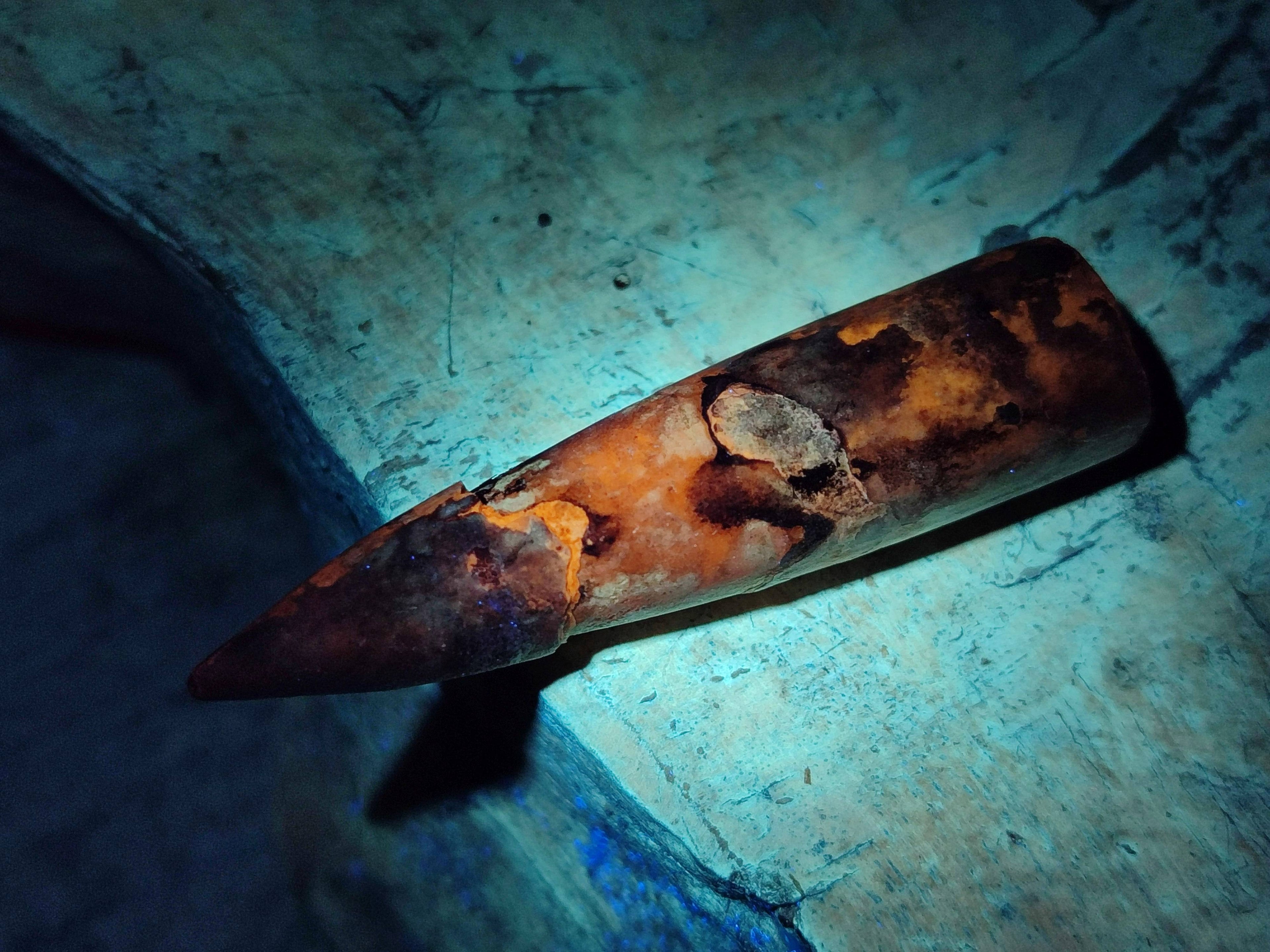 Natural Belemnite Rostrum Fossils x 2.4 Kg Lot From Madagascar - Toprock Gemstones and Minerals 