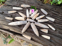 Natural Belemnite Rostrum Fossils x 2.4 Kg Lot From Madagascar