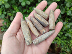 Natural Belemnite Rostrum Fossils x 2.4 Kg Lot From Madagascar - Toprock Gemstones and Minerals 